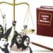 Women Did Everything Right. Then Work Got ‘Greedy.’