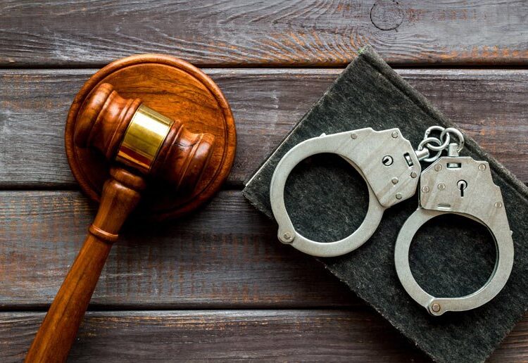 What is Criminal Law In Michigan?